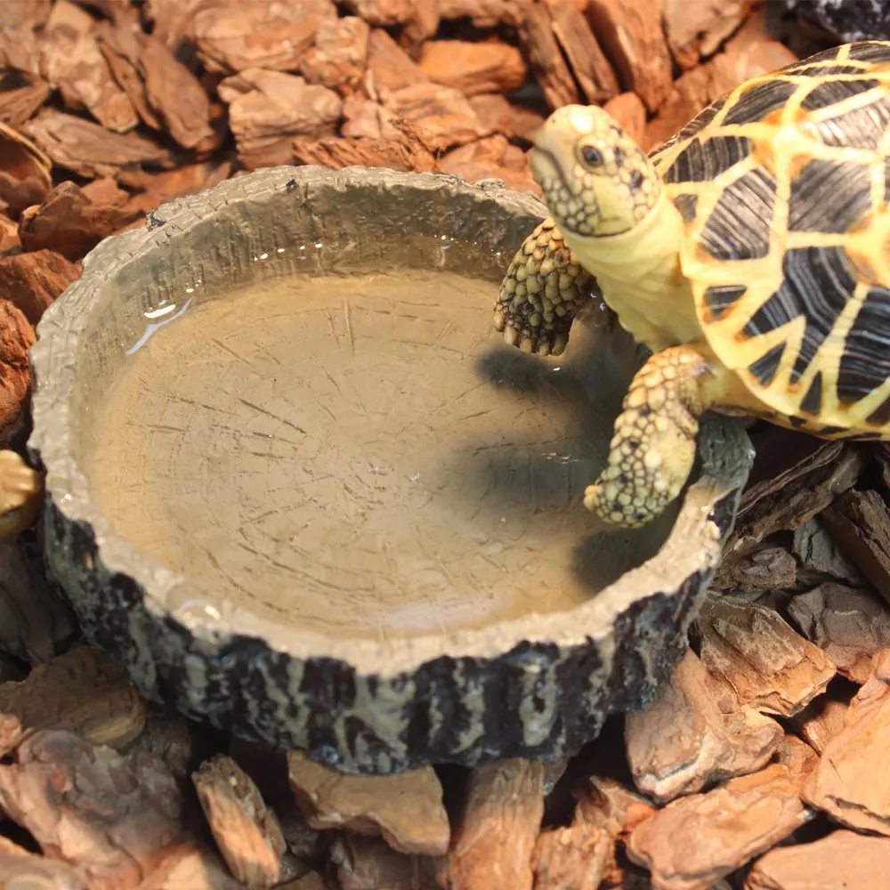 Best Promotion Brown Color Reptile Tortoise Water Dish Food Bowl For ...