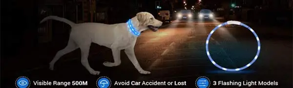 LED Dog Collar (14)a.jpg