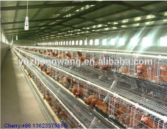 hot dipped galvanized chicken wire panels (anping factory)