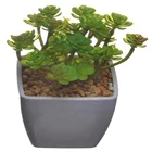 Garden supplies item type small artificial cactus with square plastic pot
