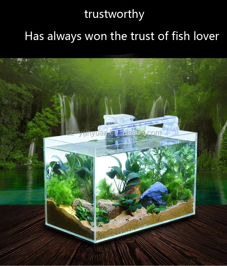 Small Rectangle Clear Acrylic Aquarium Fish Tank Wholesale Best Selling Clear Acrylic Tabletop