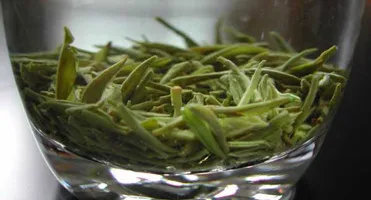Spring New Green Tea Xinyang maojian Chinese Green Tea - 4uTea | 4uTea.com