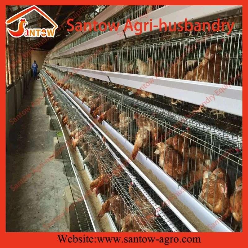3 4 5 Tiers Chicken Cages Automatic Poultry Cage Galvanized Birds Layer
