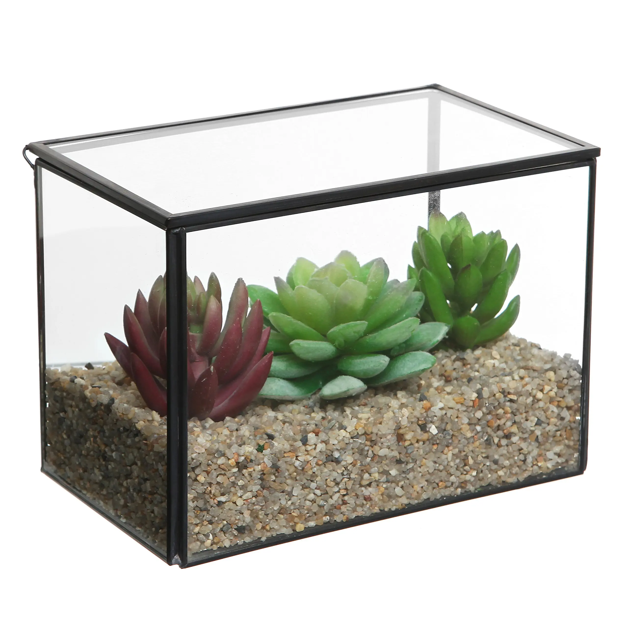 Cheap Glass Display Box Small, find Glass Display Box Small deals on