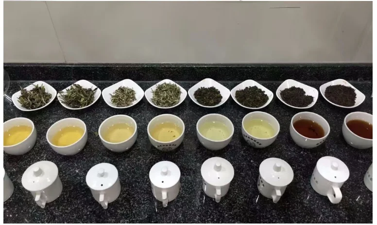 EU standard Marigold Blooming tea GF020 - 4uTea | 4uTea.com
