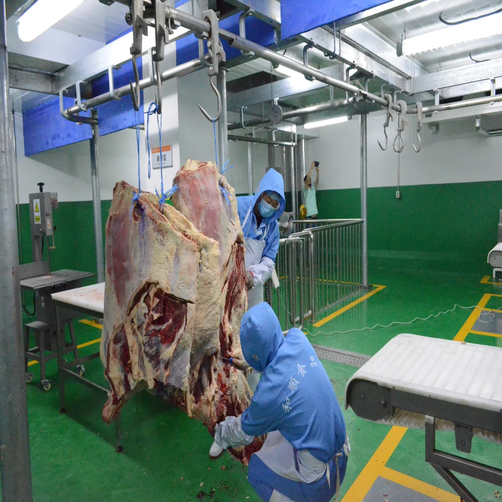 Butcher Complete Plant of Abattoir Slaughterhouse Halal Bovine Slaughter Line with LED Light System