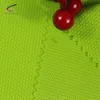 Fish Scale Polyester Interlock Athletic Fabric