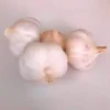 New cheap crop garlic Thailand from Jin Xiang/ Linyi Cangshan garlic