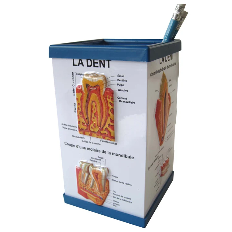 Medical Gifts For Doctors Medical Pvc Embossed Pen Holder Buy