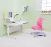 Economic Model Electric Intelligent Sit Stand Study Desk and Chair Sets