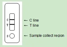 Ractopamine Test Kit veterinary drug residue rapid test hormone test kit for meat