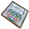 Brand customized individually packaged disposable samples free reusable plastic hotel combs