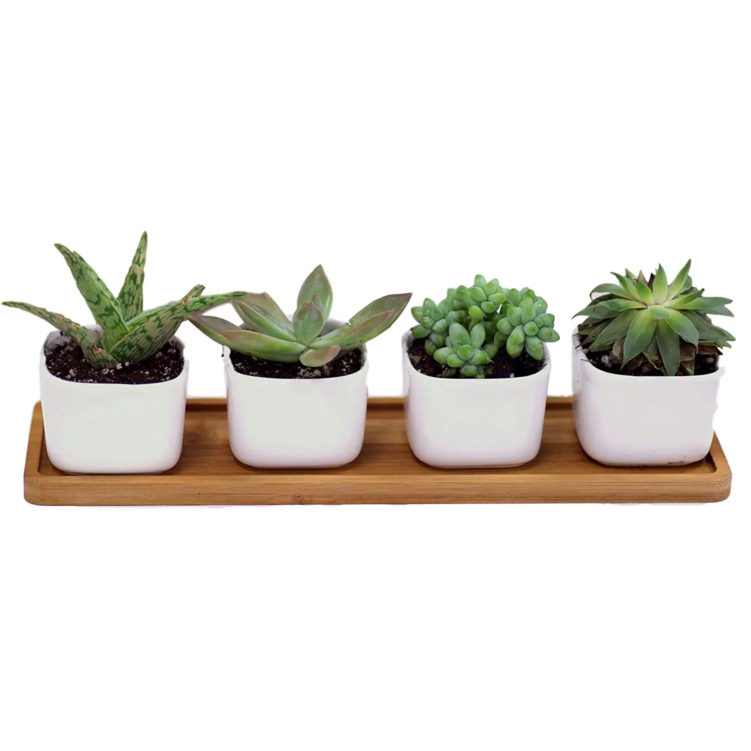 Cheap Windowsill Herb Pots, find Windowsill Herb Pots deals on line at
