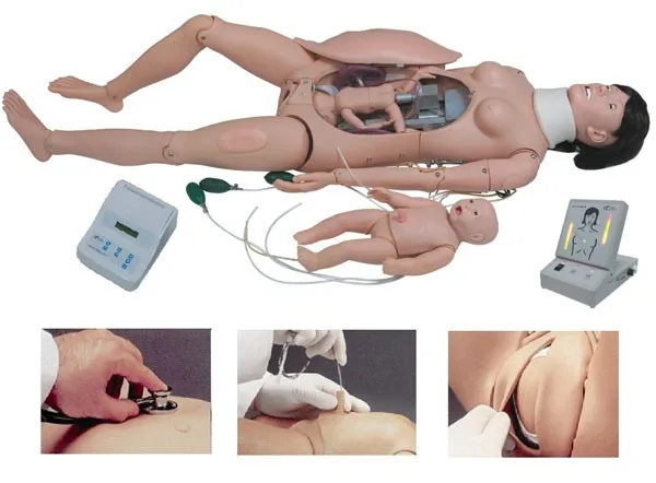 F55 Delivery and Maternal and Neonatal Emergency Simulator.jpg