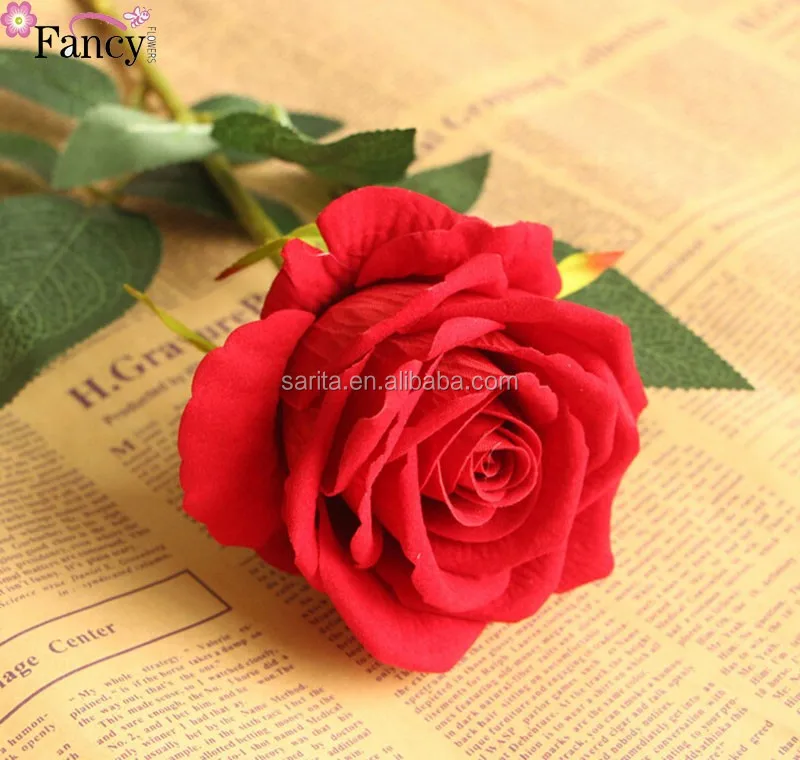 My Image 39