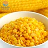 canned sweet corn/non gmo vacuum packed canned whole kernel sweet corn
