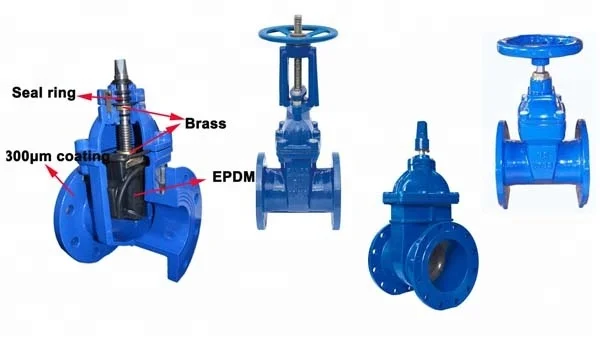gate valve 