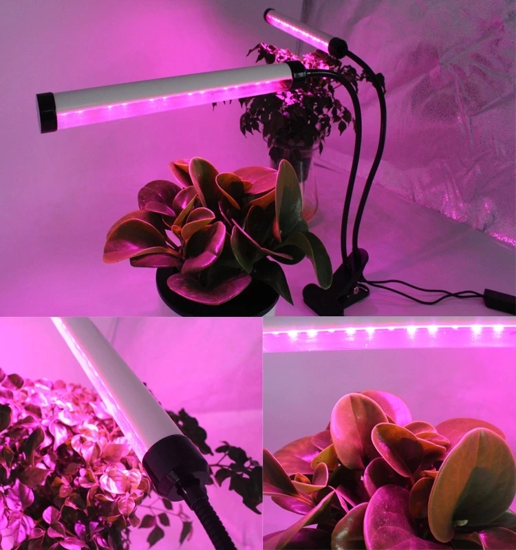 grow up led light (4).jpg