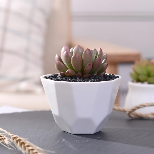 ceramic flower pot (28).png