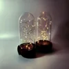 Factory Direct Sales Cloche Glass Bell Jar with String Lights Led/Naked Wire LED Light String Decoration for Bell Jar Indoor use
