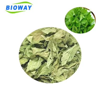 
100% Pure natural Organic Dried spearmint tea 
