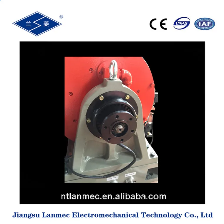 DW eddy current dynamometer