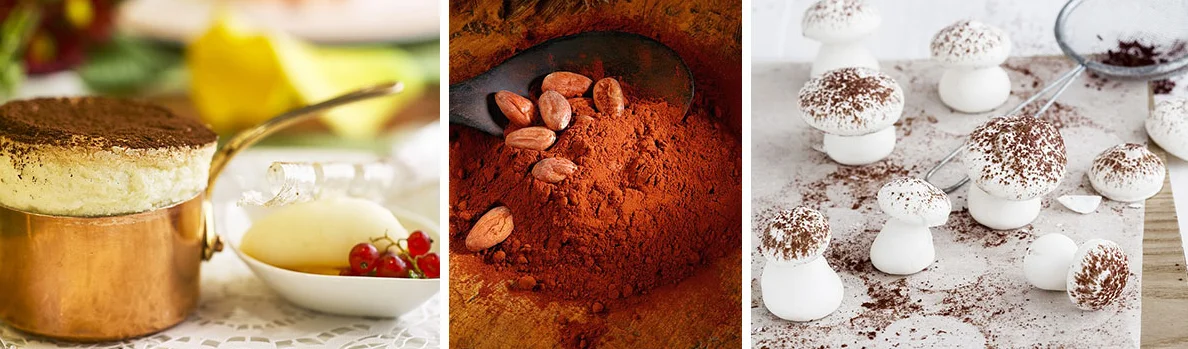 cocoa detail 1