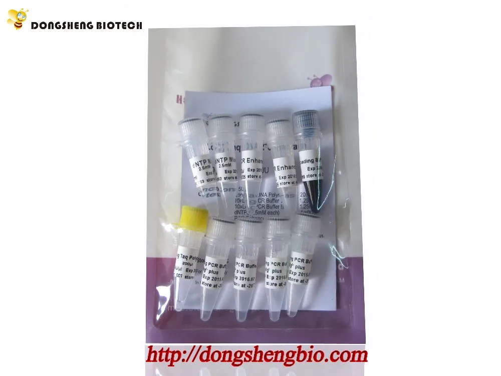 P1064 Long Taq DNA Ploymerase.jpg