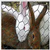chicken breeding cage