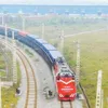 Professional freight forwarder Shanghai to Canada, import and export declaration from , FOB/EXW/DDU/DDP/door-to-doorProfessiona