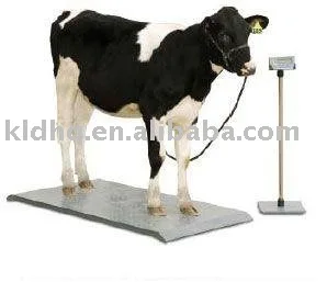 [Imagem: KLD-Cattle-Scale-Cattle-Weighing-Scale.jpg]