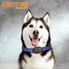 Sim Card Real Time Tracking Pet Collars with Tracker GPS