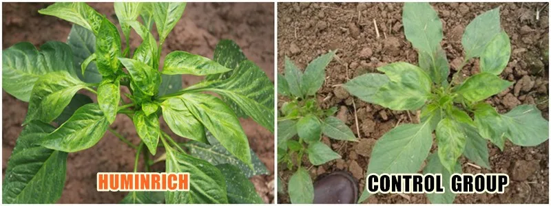 Humic Acid +Liquid Npk Fertilizer.jpg