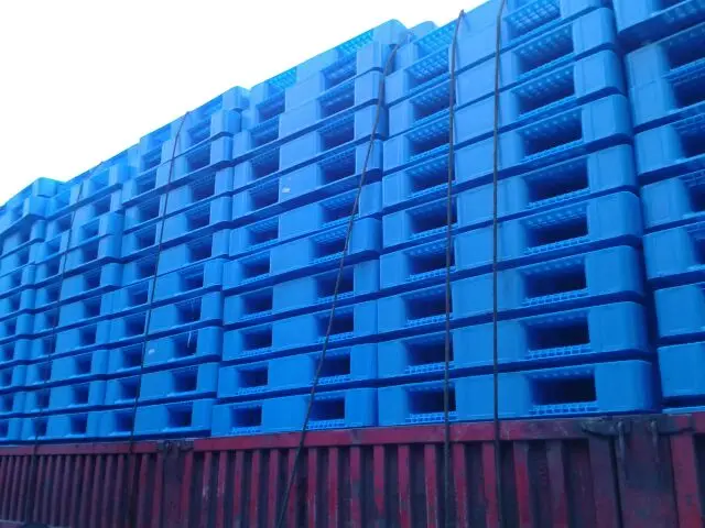 520030.jpg