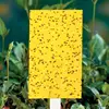 china supplier PP yellow sticky fly trap agricultural insect control 25cm*15cm