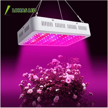 New Design Apollo Horticulture Lighting Led Grow Lights 300w 450w 600w 1000w 1200w Full Spectrum Light For Greenhouse New Design Apollo Horticulture Lighting Led Grow Lights 300w 450w 600w 1000w 1200w Full Spectrum Light For Greenhouse