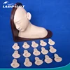 HOT 16pc Ear Simulator, Ear Examination Model