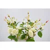 Lusia artificial flower single stem produce plastic articles by injection moulding 2heads rose