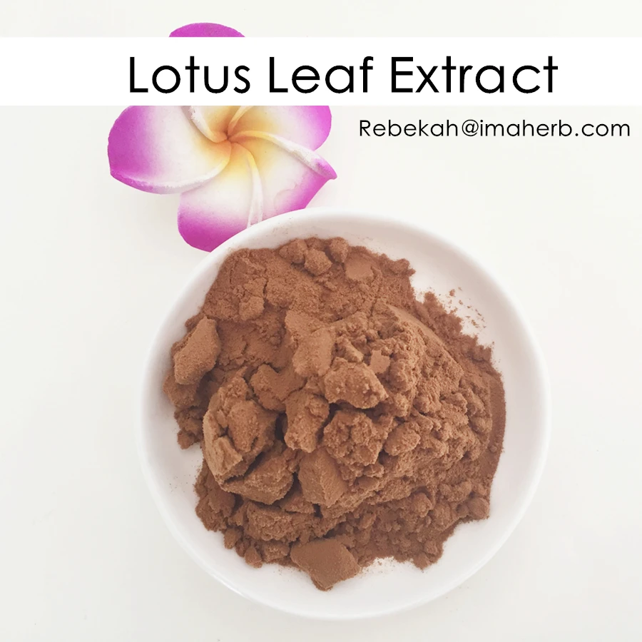 Natural Weight Loss Function High Purity Lotus Leaf Extract Nuciferine
