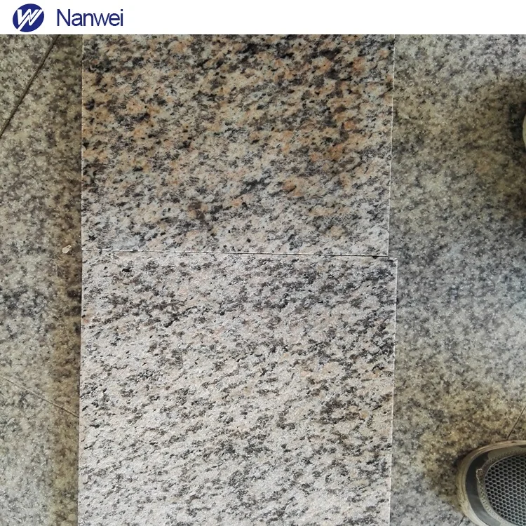 tiger shin red (1).jpg