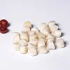 Frozen sea scallop meat shellfish fish seafood company in china