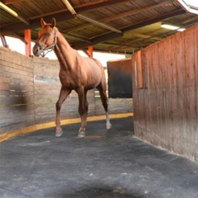 
Excellent Flexibility And Durability Horse Barn Flooring 