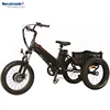 Adult 3 Wheel Elctric/Eletric Dutch Cargo Food Coffee Delivery Loading Trike Electric Bicycle For Sale Philippines