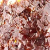 Seedlac/Shellac/Shellac flake