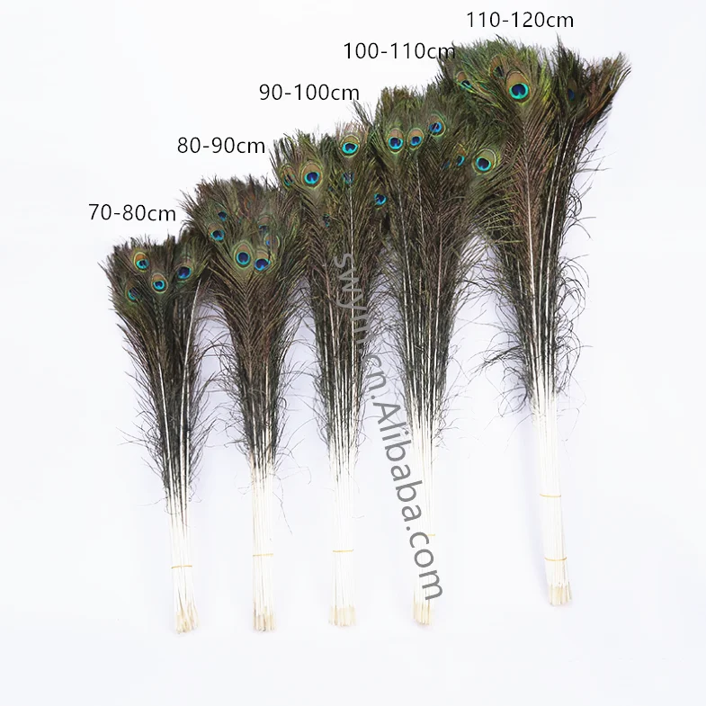 Wholesale Natural Peacock Feather Fringe 90100cm Peacock Tail Feather