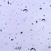 PET film polyester film