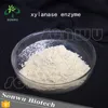 /product-detail/best-xylanase-feed-grade-xylanase-enzyme-60834620073.html