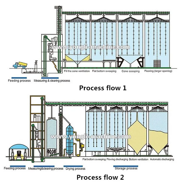 Crop Quality, Storage, and Utilization Foundations for