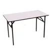Plastic outdoor folding table for outside events