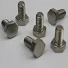 Titanium hex head screw bolt m6 m7 m8 m10
